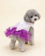 Grey toy poodle wearing an amethyst purple butterfly pet dress, shown from a rear three-quarter angle.