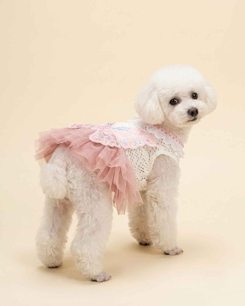 White toy poodle wearing a blush pink butterfly pet dress, shown from a rear three-quarter angle.