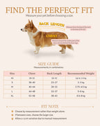Pet dress size guide showing how to measure chest girth and back length, with measurements for sizes XS to XL.