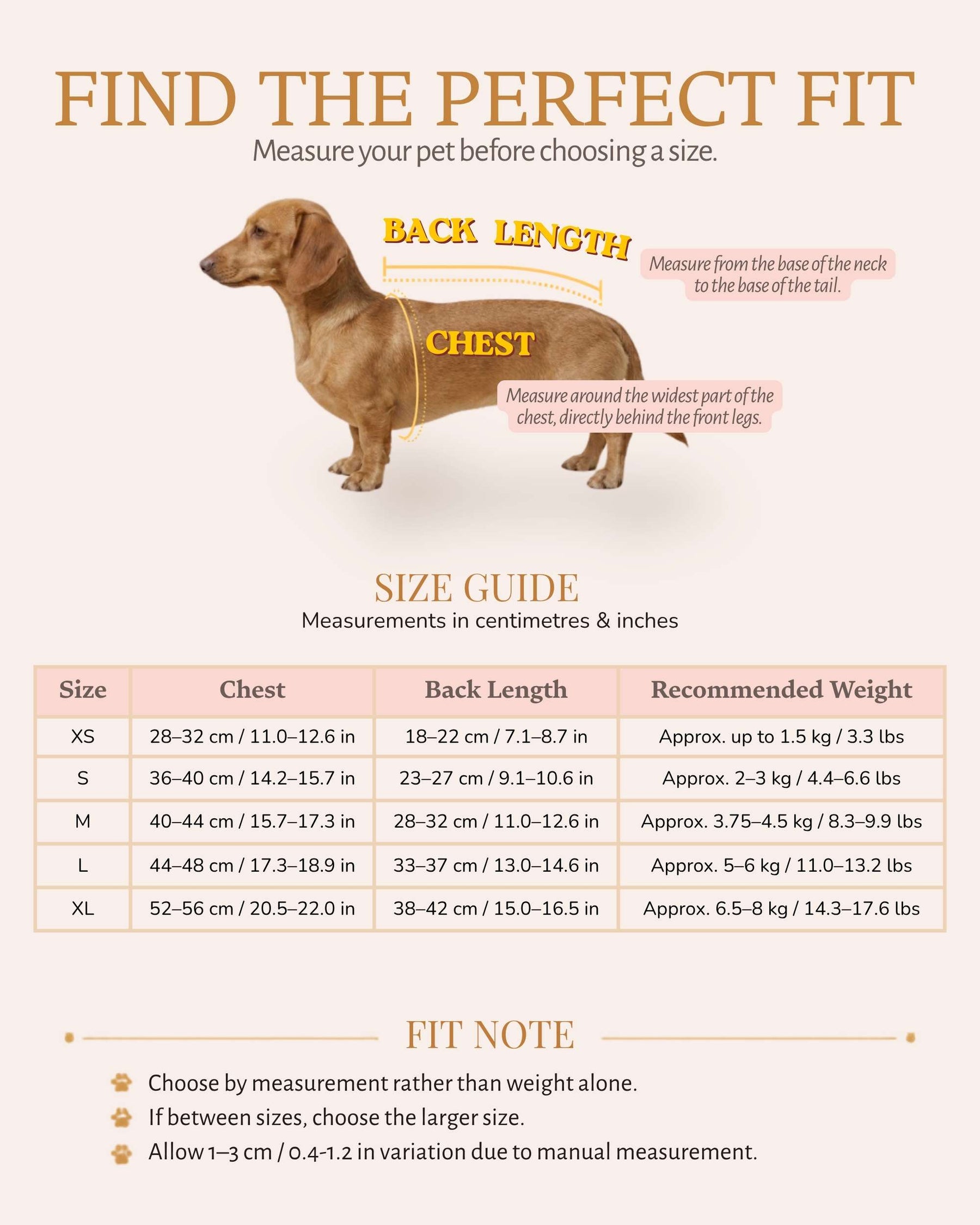 Champagne Gold Pearl & Lace Princess Pet Dress