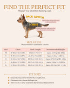 Pet dress size guide with chest, back length and recommended weight measurements for sizes XS to XL