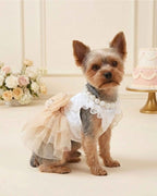 Yorkshire Terrier wearing the champagne bow tulle pet dress styled with the matching faux-pearl pet necklace