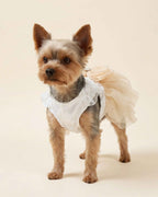 Yorkshire Terrier wearing the champagne tulle pet dress, showing the white satin bodice, ruffled shoulders and snap-button front
