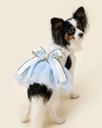 Papillon wearing the Cinderella Blue Pearl Bow Pet Dress with an embroidered white bodice, layered blue tulle skirt and pearl-centred bow