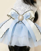 Close-up of the pale blue satin bow, oval pearl brooch, crystal surround and black-edged ivory ribbon on the pet dress