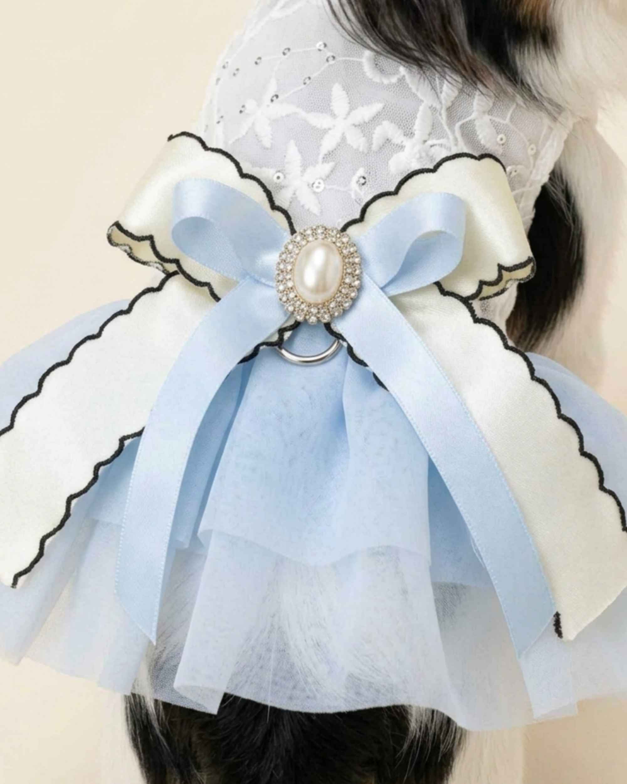 Close-up of the pale blue satin bow, oval pearl brooch, crystal surround and black-edged ivory ribbon on the pet dress