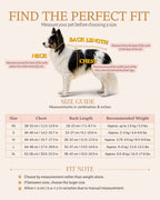 Size guide for the Cinderella Blue pet dress with chest and back-length measurements in centimetres and inches for sizes XS to XL