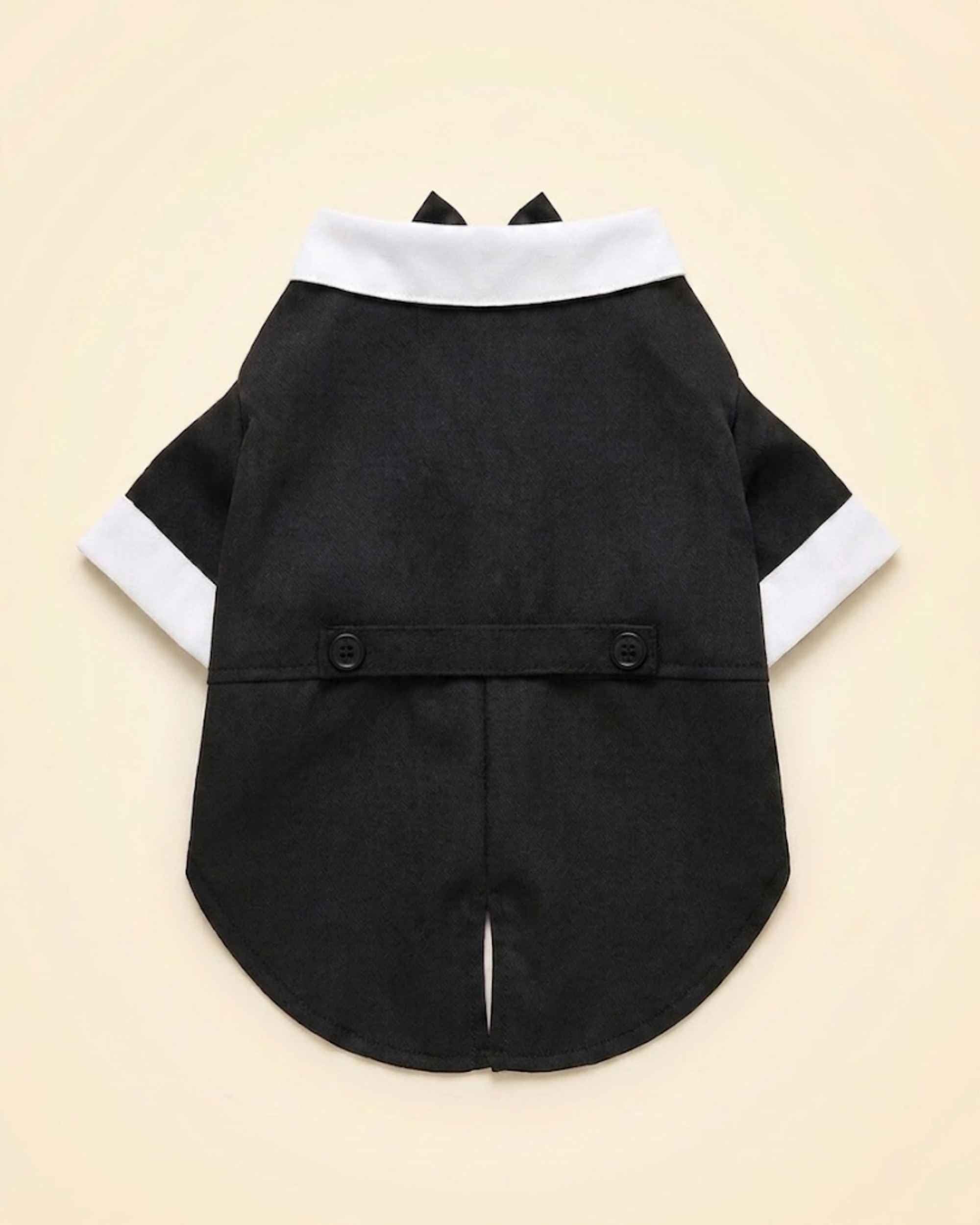 Back flat lay of the midnight-black pet tuxedo showing the white collar, two-button back strap and rounded split hem