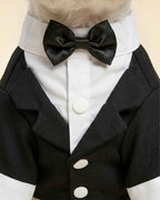 Close-up of the black satin bow tie, white collar, shirt panel and notched lapels on the pet tuxedo