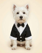 West Highland White Terrier wearing the Classic Bow Tie Pet Tuxedo in midnight black, seated front view