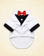 White and black pet tuxedo with a red satin bow tie, black shirt panel, white lapels and black sleeve cuffs shown in a front flat lay.