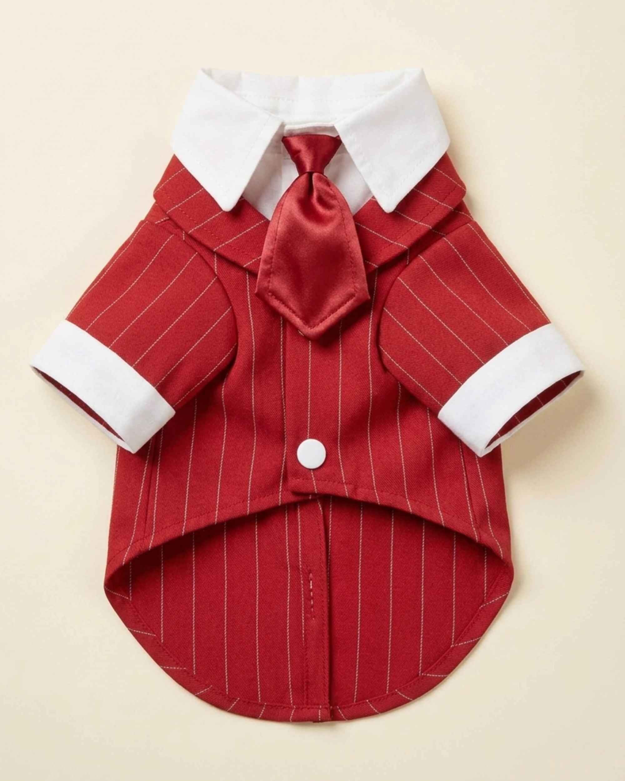 Front flat lay of the Crimson Red pet suit with matching satin necktie, white pointed collar, cuffs and fine pinstripes