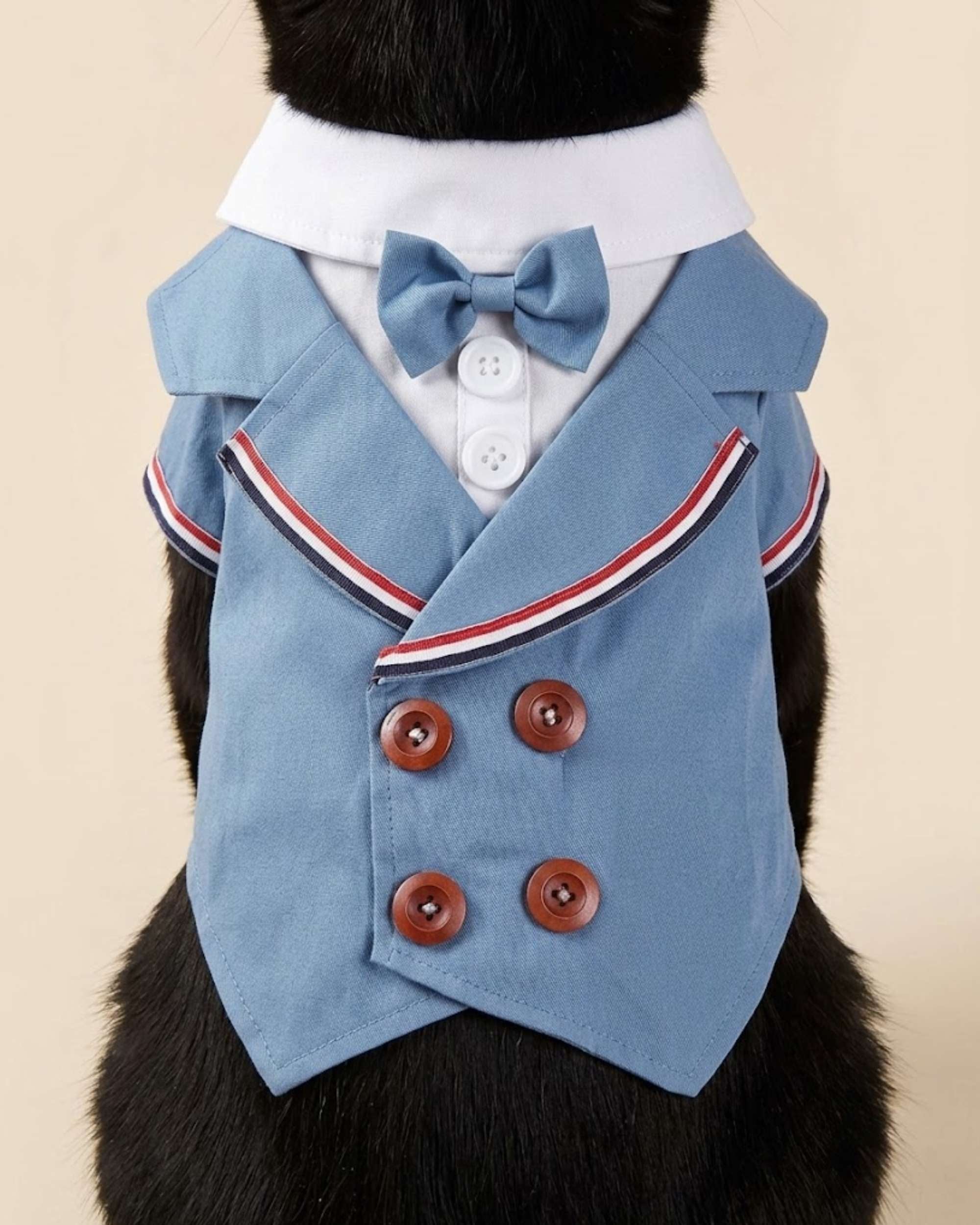 Close-up of the Denim Blue pet tuxedo featuring a matching bow tie, white collar, two white shirt buttons, striped lapels and four brown buttons.
