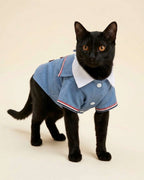 Black cat wearing the Denim Blue Double-Breasted Pet Tuxedo from the front, showing the white collar, sleeves and chest fastening.