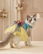 Ragdoll cat wearing an aqua satin pet dress with yellow tulle skirt and layered bow in an elegant blush celebration setting