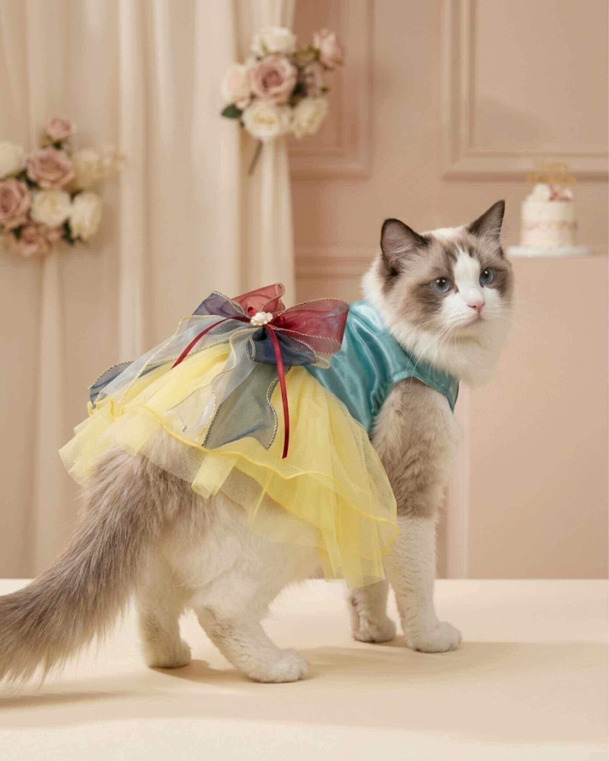 Ragdoll cat wearing an aqua satin pet dress with yellow tulle skirt and layered bow in an elegant blush celebration setting