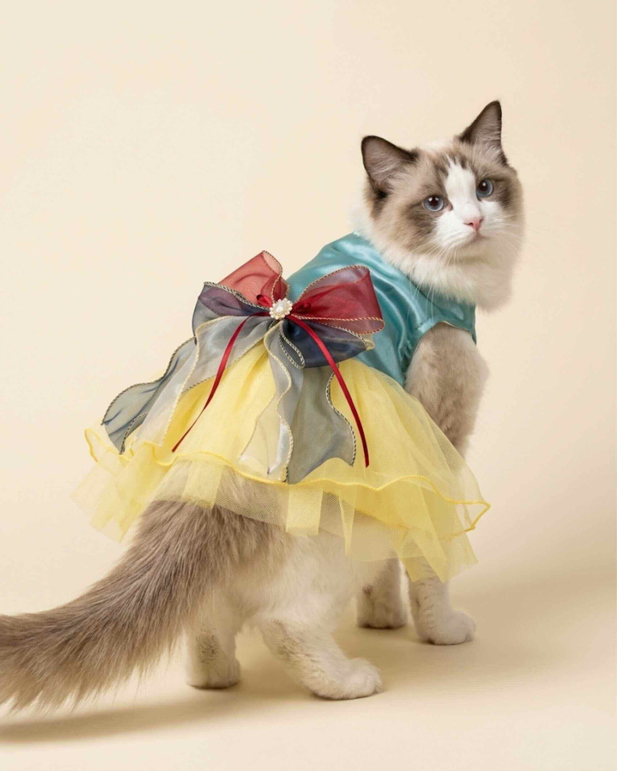 Ragdoll cat standing in an aqua satin pet dress with yellow tulle skirt and layered bow, shown from the front three-quarter view