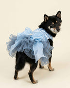 Shiba Inu wearing the celestial blue sequin tulle pet dress, showing the layered skirt and jewelled organza bow from a rear three-quarter angle.