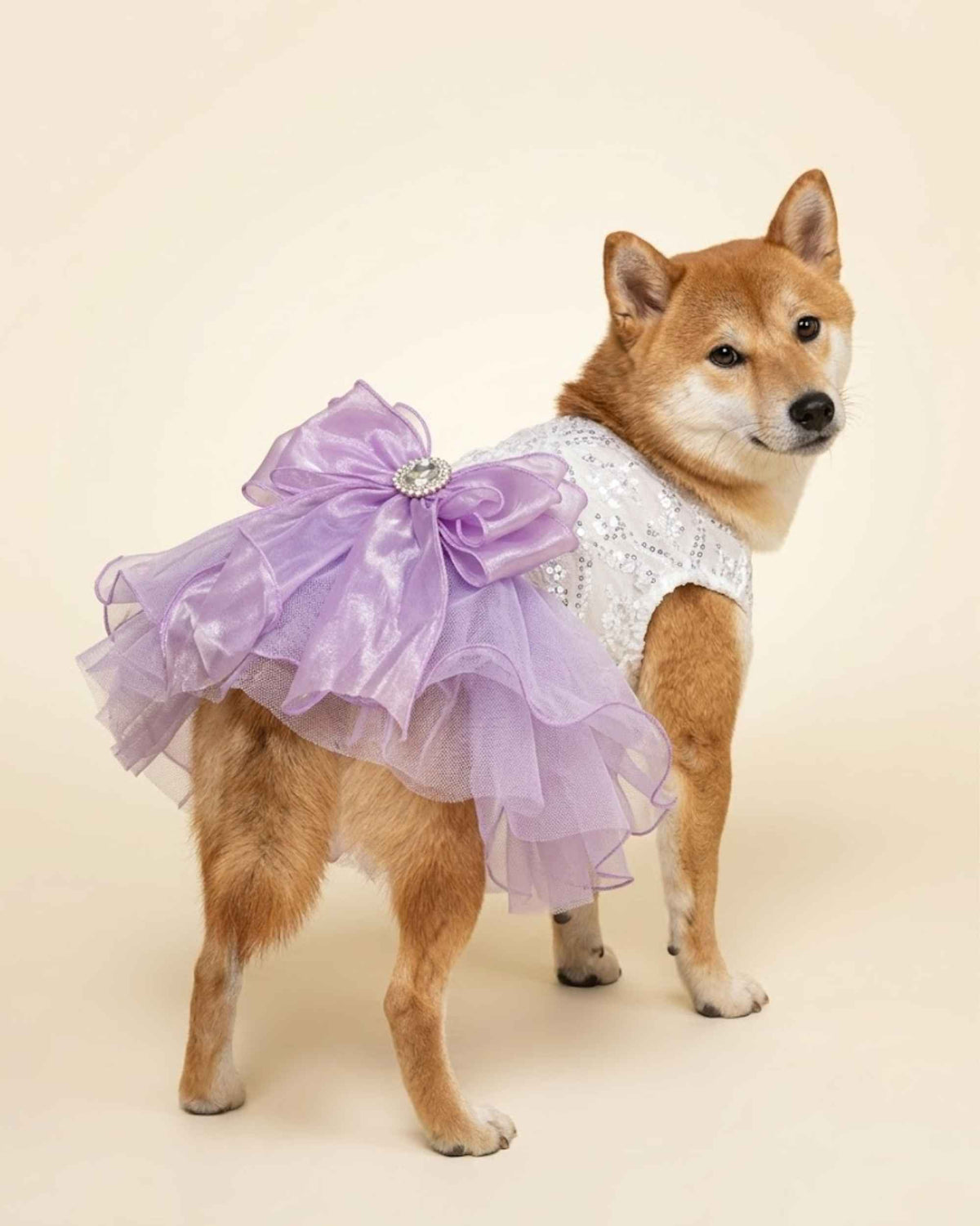 Shiba Inu wearing the lavender mint sequin tulle pet dress, showing the layered skirt and jewelled organza bow from a rear three-quarter angle.