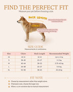 Pet dress size guide showing how to measure chest girth and back length, with measurements from XS to XL.