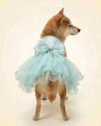 Back view of a Shiba Inu wearing the seafoam mint pet dress with a voluminous tulle skirt and oversized jewelled bow.