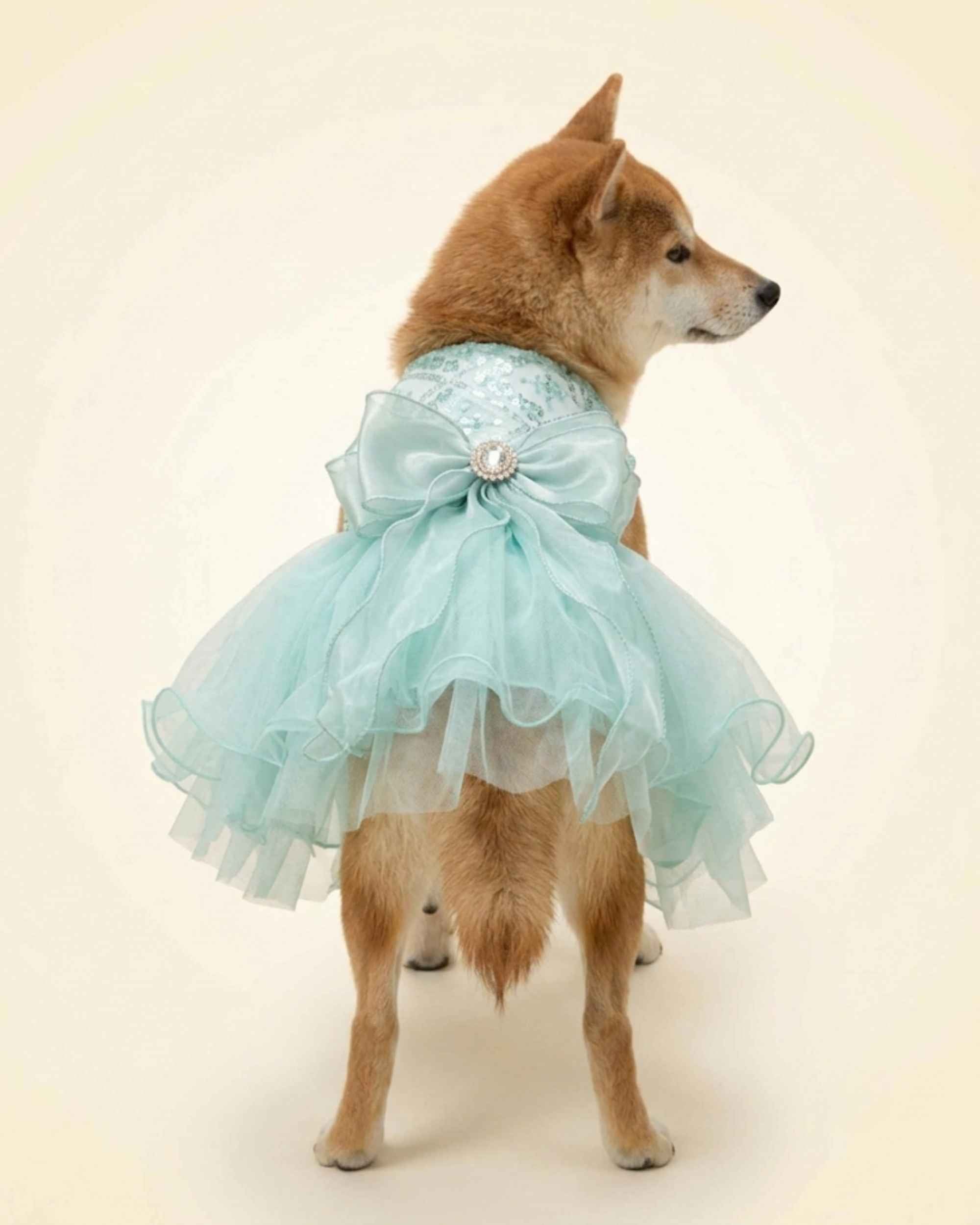 Back view of a Shiba Inu wearing the seafoam mint pet dress with a voluminous tulle skirt and oversized jewelled bow.