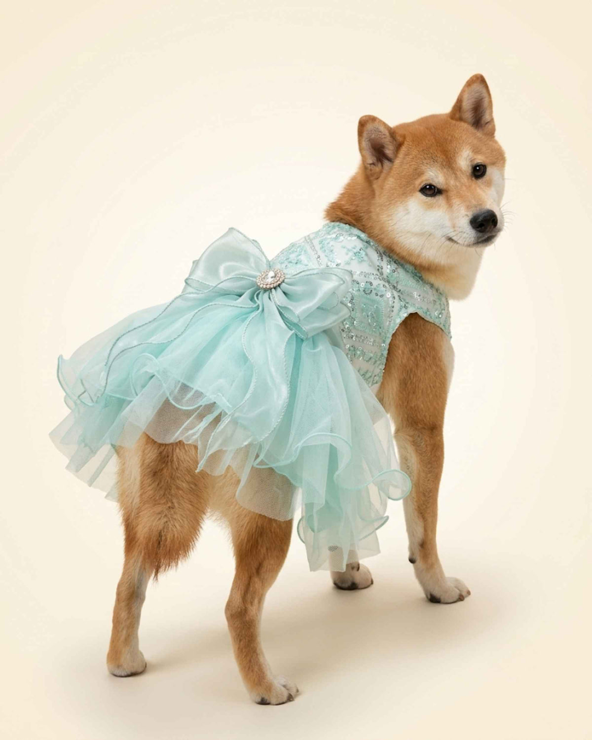 Shiba Inu wearing the seafoam mint sequin tulle pet dress, showing the layered skirt and jewelled organza bow from a rear three-quarter angle.