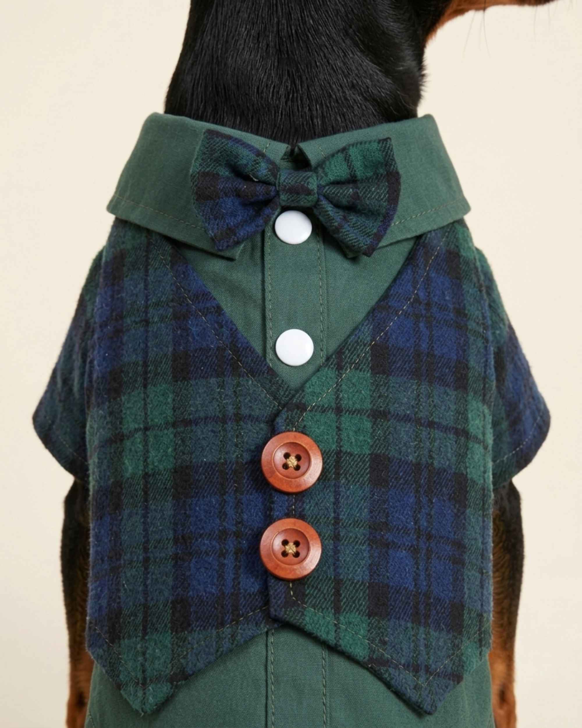 Close-up of the green and navy Heritage Plaid Waistcoat Pet Shirt showing its matching bow tie, structured collar, white snaps and brown buttons.