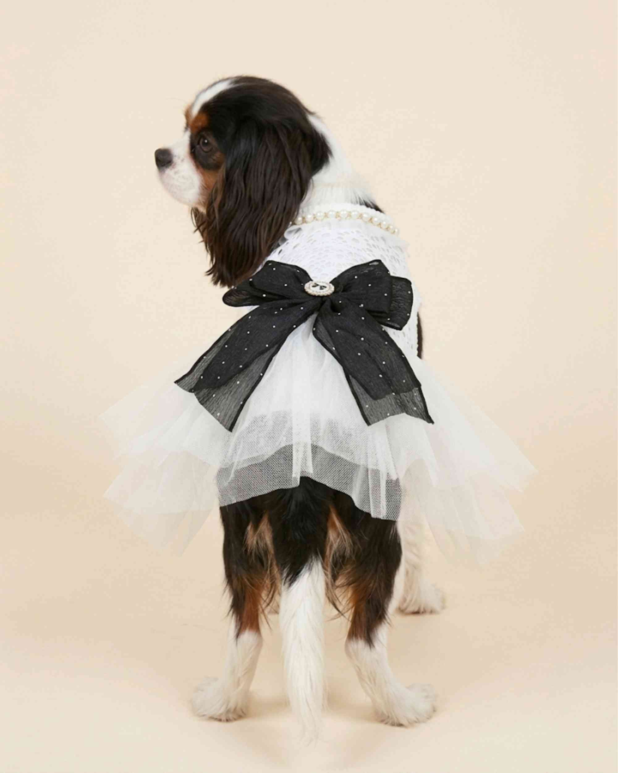 Back view of the ivory pet dress showing the large black bow, pearl neckline and layered white tulle skirt