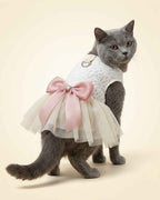 Grey cat wearing an ivory lace pet dress with a blush pink bow and layered tulle skirt, shown from the front three-quarter angle.