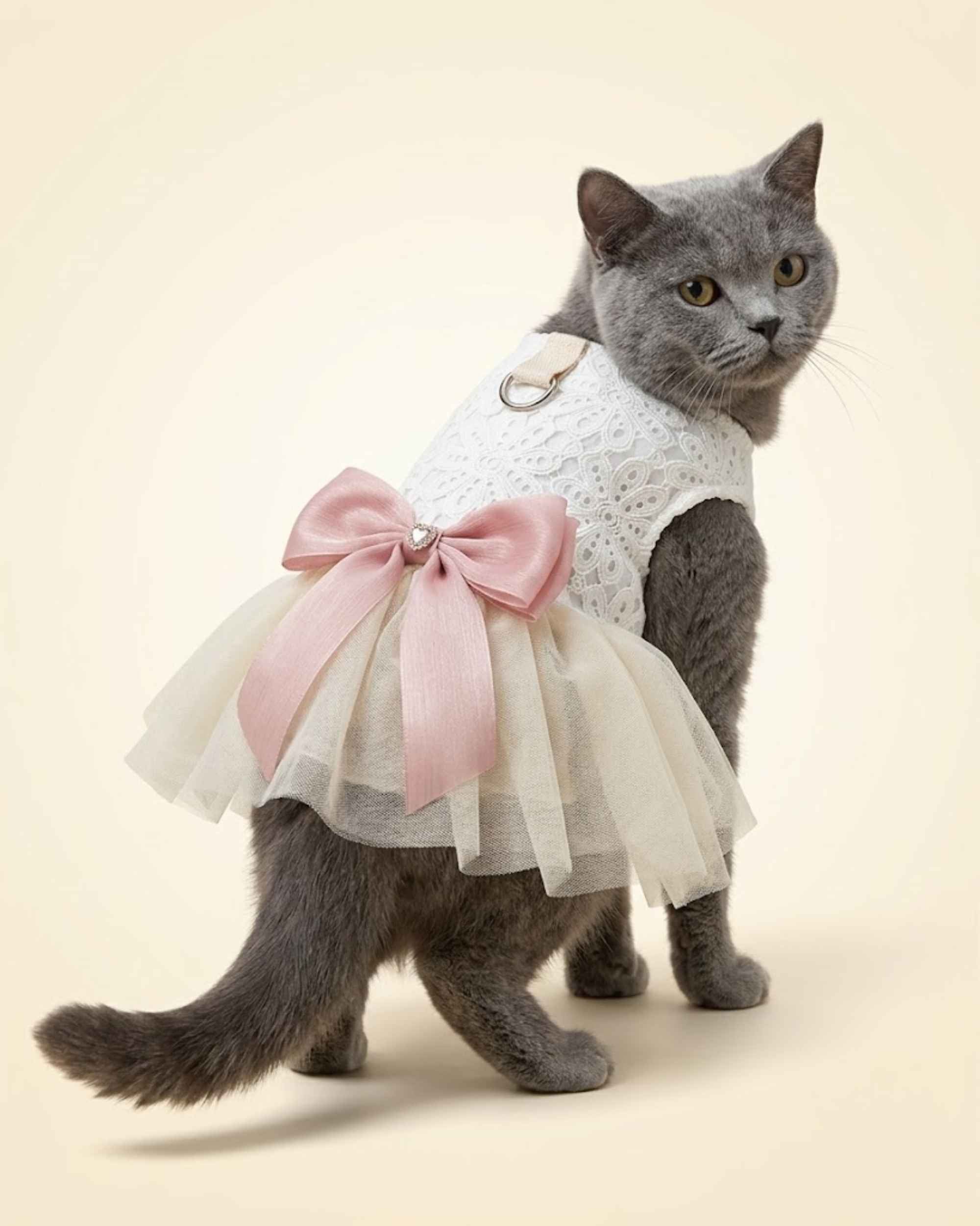 Grey cat wearing an ivory lace pet dress with a blush pink bow and layered tulle skirt, shown from the front three-quarter angle.