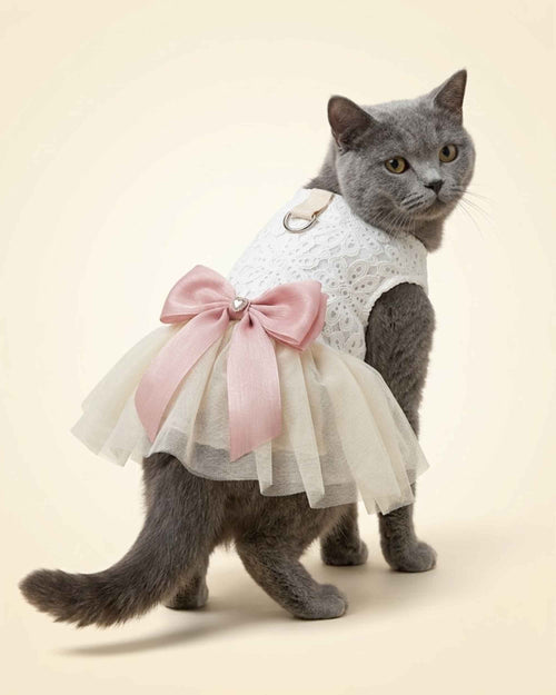 Grey cat wearing an ivory lace pet dress with a blush pink bow and layered tulle skirt, shown from the front three-quarter angle.