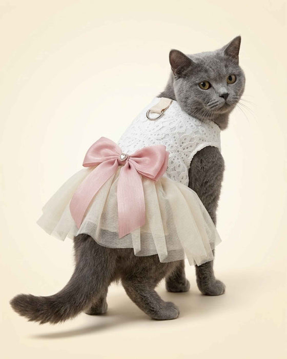 Grey cat wearing an ivory lace pet dress with a blush pink bow and layered tulle skirt, shown from the front three-quarter angle.
