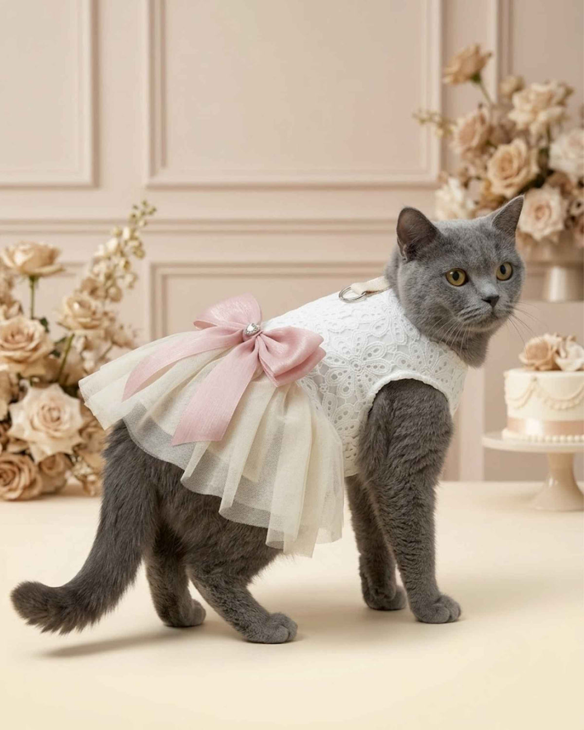 Pet wearing occasion dress in a celebration setting