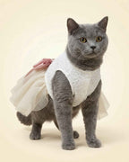 Grey cat wearing an ivory lace pet dress with a blush pink bow and layered tulle skirt, shown from a rear three-quarter angle.