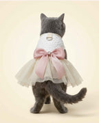 Full back view of a grey cat wearing an ivory lace pet dress with a centred blush pink bow, crystal heart detail and layered tulle skirt.