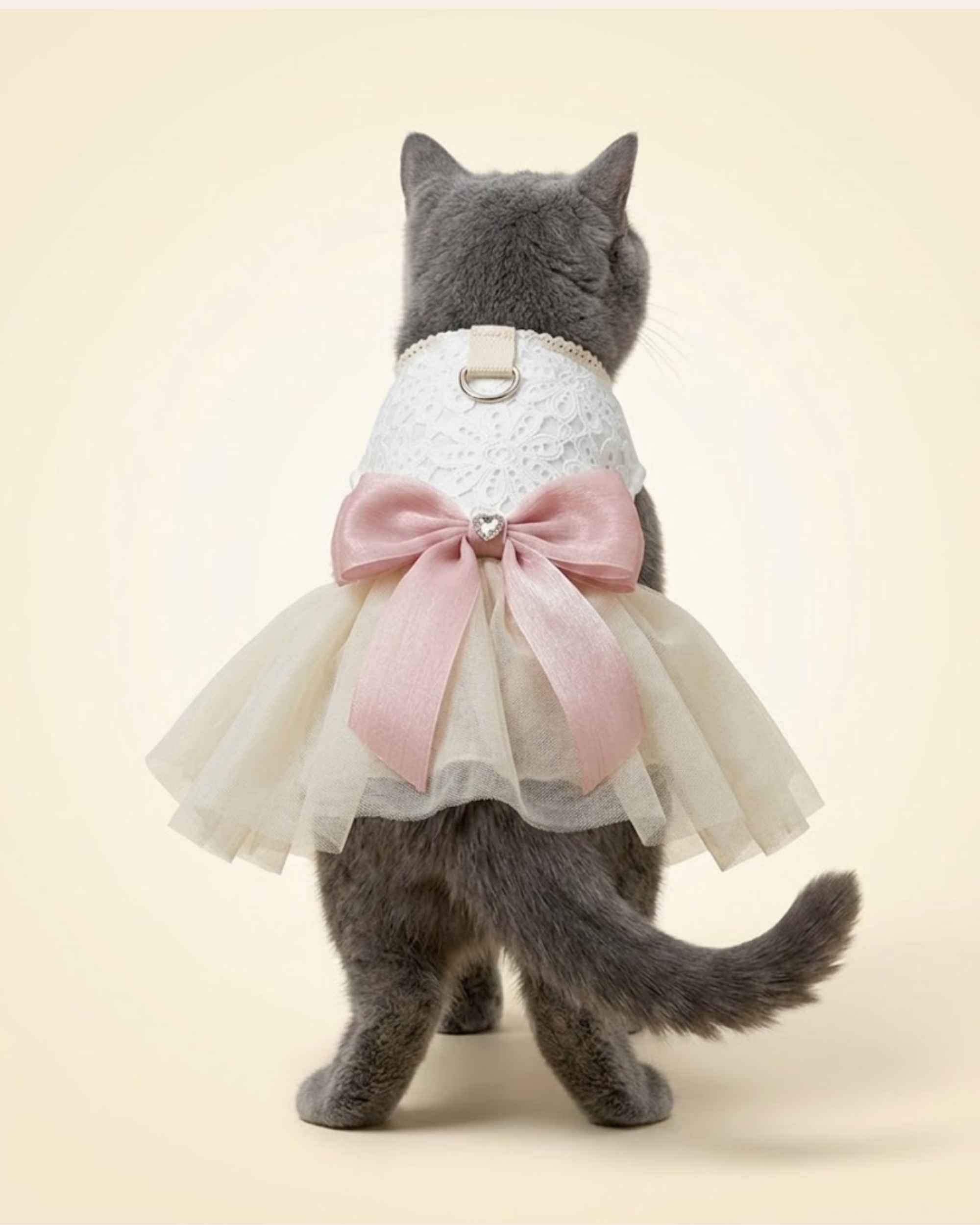 Full back view of a grey cat wearing an ivory lace pet dress with a centred blush pink bow, crystal heart detail and layered tulle skirt.