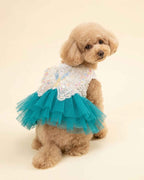 Apricot toy poodle wearing a lagoon teal butterfly pet dress in a seated three-quarter pose.
