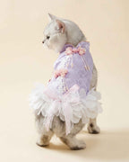 Silver shaded cat wearing a lavender jacquard dress with pink floral ornaments, pearl tassels and a full white petal skirt.