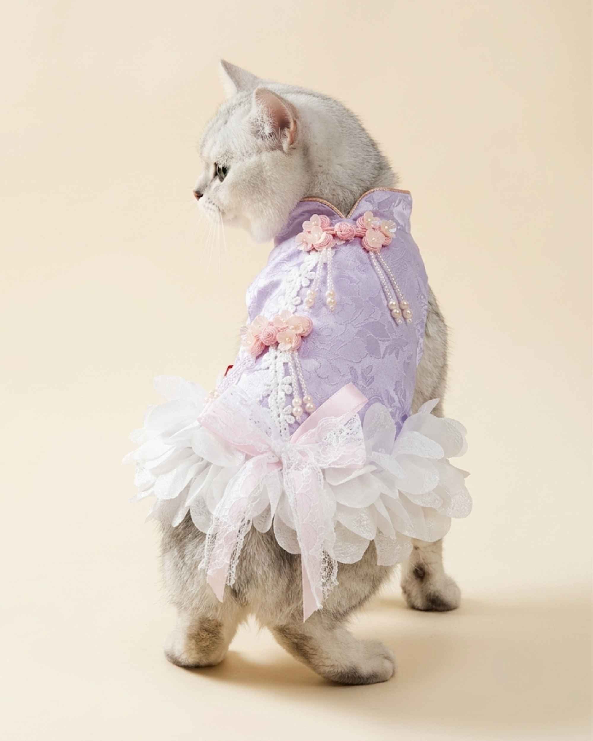 Silver shaded cat wearing a lavender jacquard dress with pink floral ornaments, pearl tassels and a full white petal skirt.