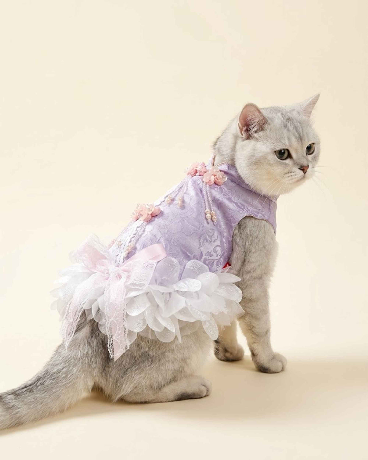 lavender-jacquard-cat-dress-seated-rear-view.jpg