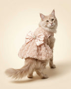 A fluffy cream-colored cat wearing a pale pink dress with a large satin bow on the back, standing against a warm cream background.