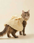 Longhair cat wearing the Luxury Rose Lace Pet Dress in champagne yellow with rosette mesh and pearl bowknot, side view.