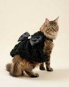 A fluffy brown tabby cat wearing a black pet dress with a large satin bow and a small white decorative center, photographed against a plain warm beige studio background.