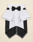 Closure-side flat lay of the midnight black pinstripe pet waistcoat with white shirt, black bow tie, snap buttons and finished hem