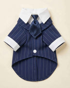 Front flat lay of the Navy Blue pet suit with matching satin necktie, white pointed collar, cuffs and fine pinstripes