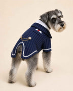 Salt-and-pepper Schnauzer modelling the Navy Blue pinstripe pet tailcoat with split tails and gold-tone chain