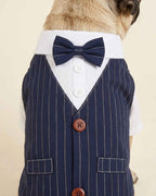 Close-up of the navy pinstripe pet waistcoat showing the bow tie, white shirt panel, buttons, pinstripes and faux pockets
