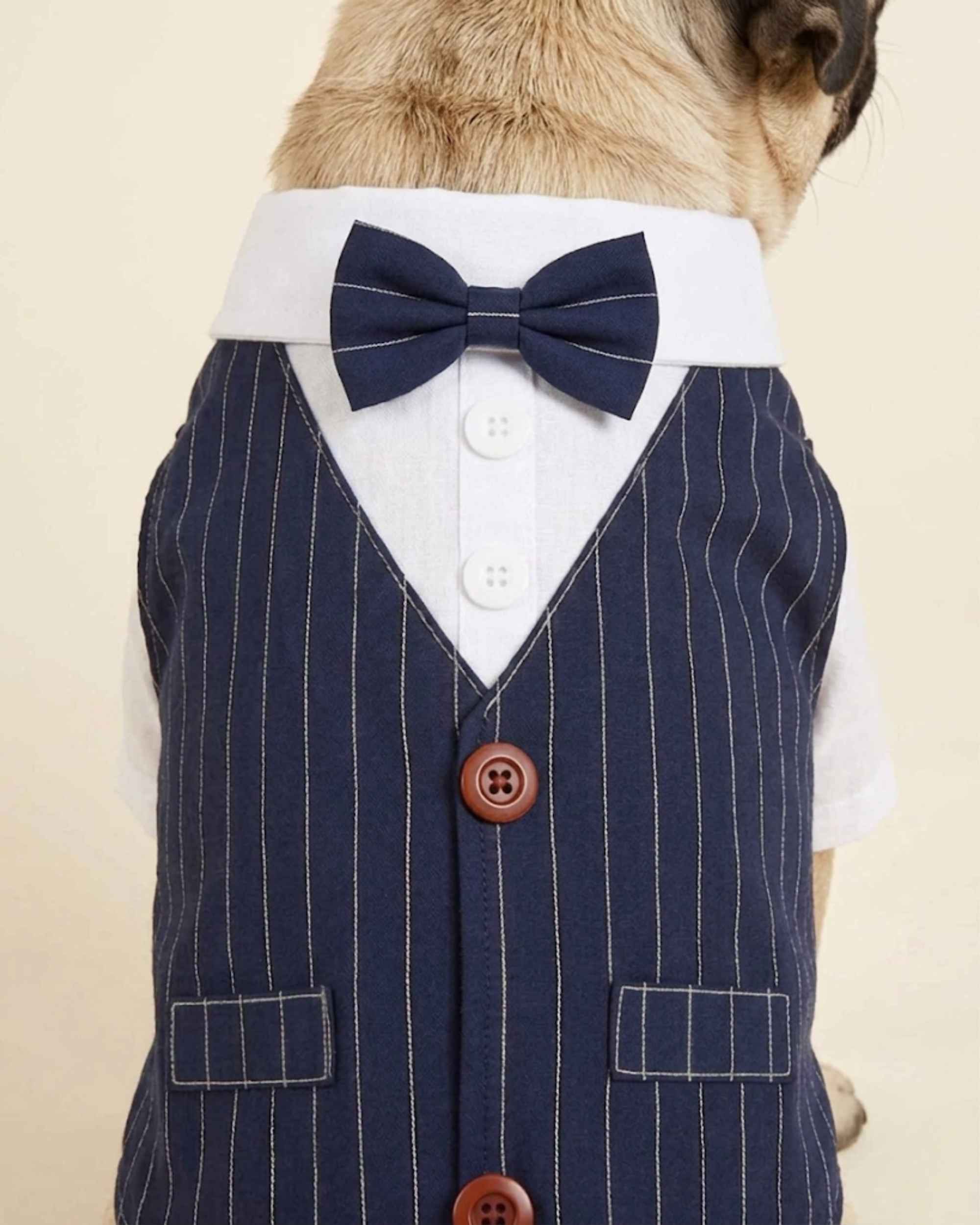 Close-up of the navy pinstripe pet waistcoat showing the bow tie, white shirt panel, buttons, pinstripes and faux pockets