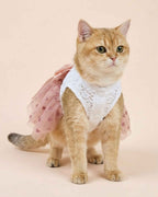 Front view of a golden cat wearing the pink tulle pet dress with white lace chest panel and snap-button closure